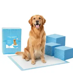 GENERICO - 40 Pañales Sabanillas Absorbentes Mascota Perros XL 60x90 cm