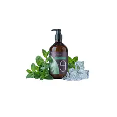 GENERICO - Shampoo Anticaspa para Capas y Dermatitis Seborreica Coreano NINEBIO 500ml