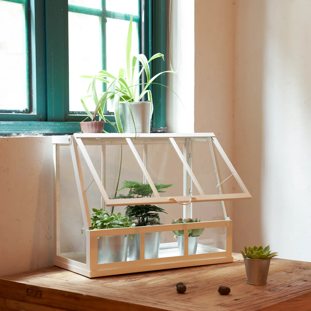 IKEA - ÅKERBÄR Invernadero, interior/exterior/blanco, 45 cm