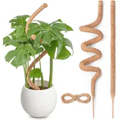 KUANGYE - 2pcs Soporte Tutor Musgo Plantas Trepadoras Flexible 160cm