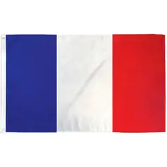 GENERICO - Bandera de Francia de 60cm x 90cm de Poliéster