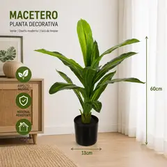 GENERICO - Planta Dracaena Natural Decorativa para Interior con Maceta