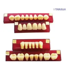 GENERICO - Tableta De Dientes De Acrílico Marche Anteriores Superiores