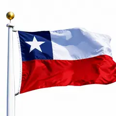 GENECTRA - Bandera De Chile Chilena 3x2 Metros Bordada Reforzada Costura