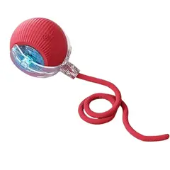 DANWEILE - Juguetes inteligentes para mascotas - Rojo