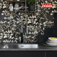 FRANKE - Lavaplatos Box BXX 210/110 Acero
