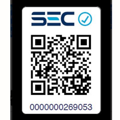 Imagen 2 del producto Plancha Vapor V-1250Bl