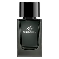 BURBERRY - Perfume Hombre Mr. Eau de Parfum 100 Ml