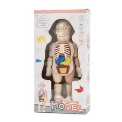 GENERICO - CUERPO HUMANO DESMONTABLE CON PINZA