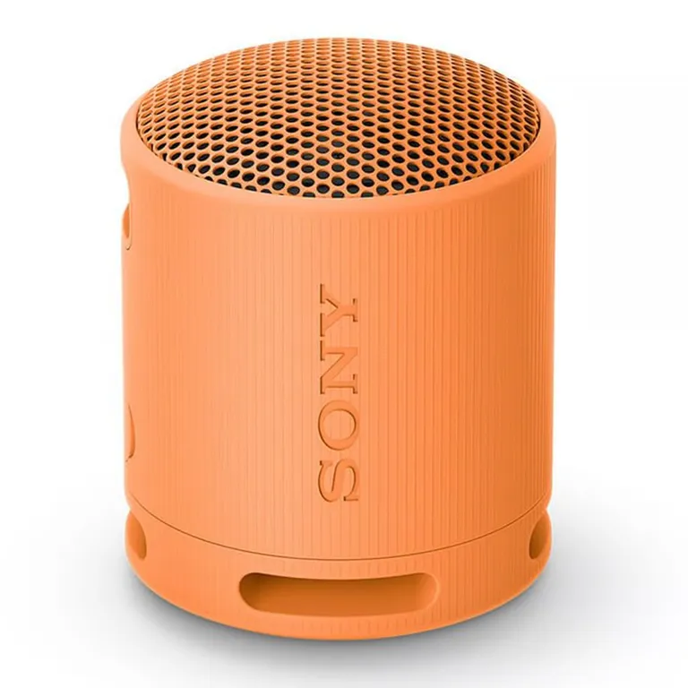 Parlante Portable Bluetooth Srs-XB-13 Sony-Negro