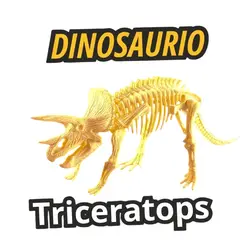 GENERICO - Esqueletos Dinosaurios Educativo Niños MODELO 2