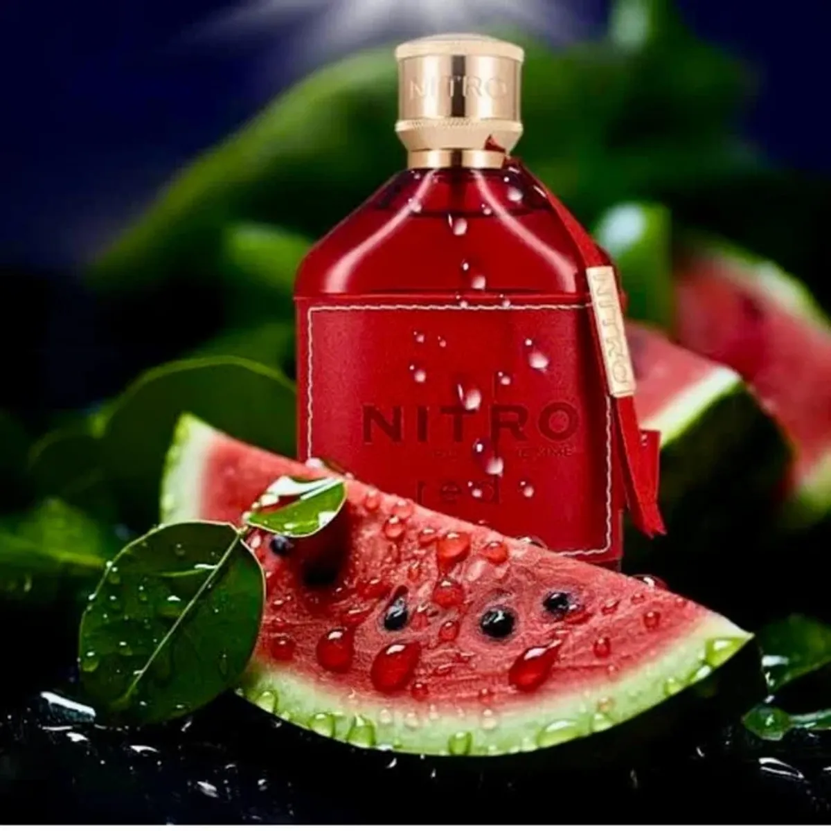 DUMONT - NITRO POUR HOMME EDP 100ML