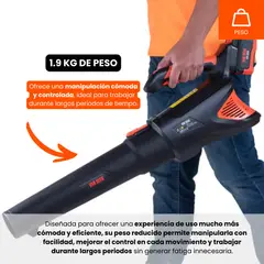 VAN BEEK - Sopladora Eléctrica a Batería vBBL20v 20V 350 CFM con 2 Baterías