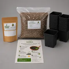GENERICO - Kit Propagacion Suculenta Y Cactus Esencial