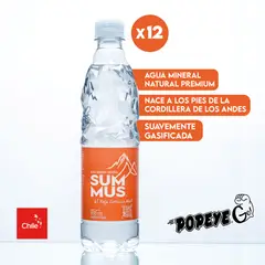 SUMMUS - Agua Mineral Natural Con Gas 500 Ml