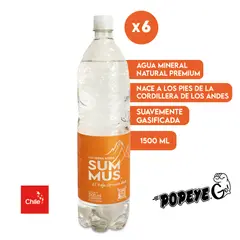 SUMMUS - Agua Mineral Natural Con Gas 1500 Ml