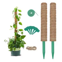 GENERICO - Kit De Tutor De Musgo Para Plantas 41 Cm / Moss Pole