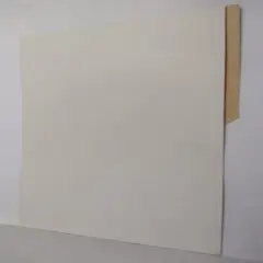 GENERICO - Carpeta Cartulina Pigmentada Blanco