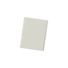 DATA ZONE - Separador A4 31 Posiciones Viní­lico Gris