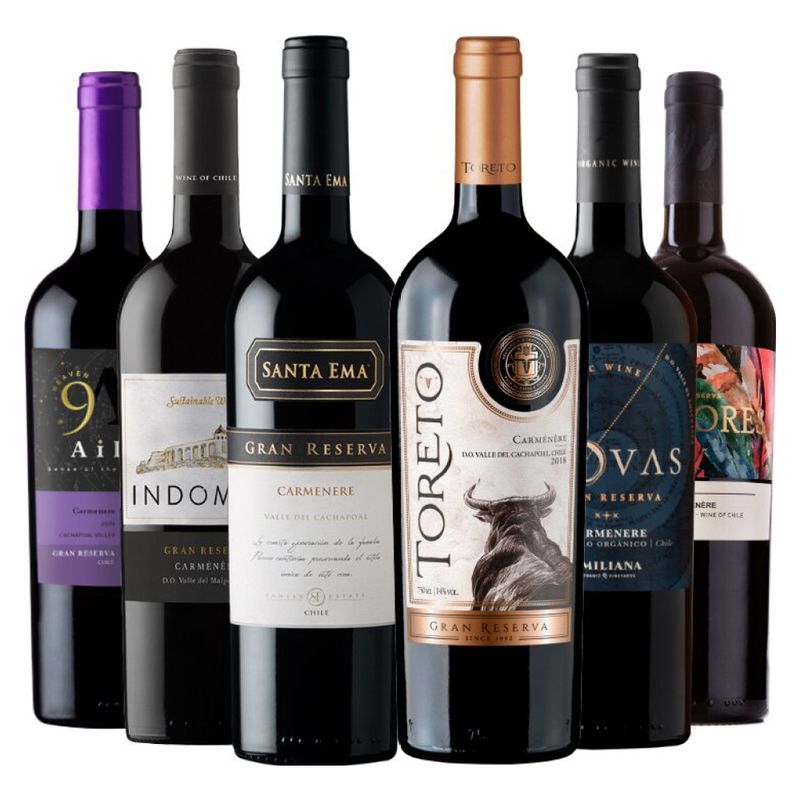 GENERICO - 6 Vinos Mix Gran Reserva Carmenere