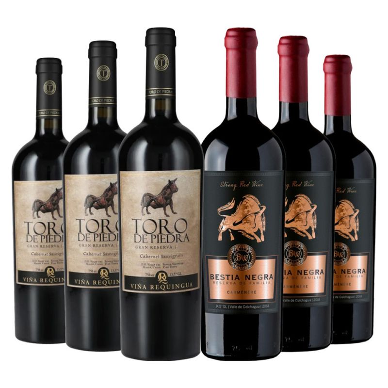 GENERICO - 6 Vinos Pack: 3 Toro P Cs  3 Bestia N Family R Ca