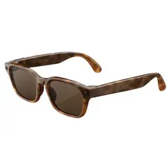 META - Lentes IA Adventurer Café Classic Tortoise