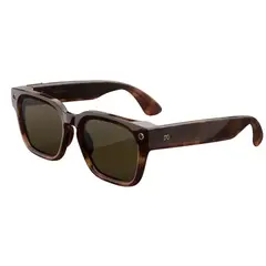 META - Lentes IA Fury Mahogany