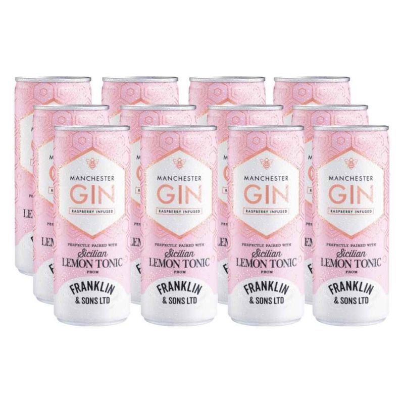 MANCHESTER - 12 Manchester Raspberry Gintonic 250Cc