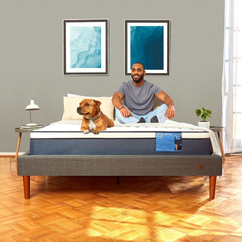 CIC - Cama Europea Curve Excellence Pus 1,5 Plazas + Almohada Cic