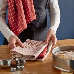 IKEA - Paño de cocina RINNIG, rojo/beige rayas, 45x60 cm