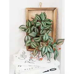 GENERICO - Cuadro De Madera Con Planta Artificial Decoración De Pared Tradescantia Zebrina