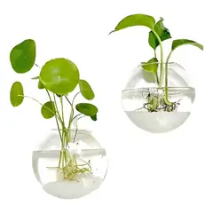 GENERICO - Pack de 2 Macetas Colgantes de Vidrio Transparente para Pared