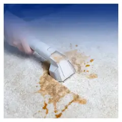 IMPORTCLICK - Aspiradora Lava Tapiz Alfombras Portátil 600 Watt 1.5 LT