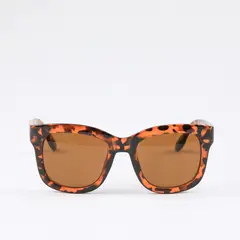 BOBS - Anteojos Maui Brown