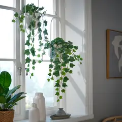 IKEA - Planta artificial FEJKA, interior/exterior/colgante Hiedra, 12 cm