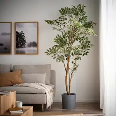 IKEA - Planta artificial FEJKA, interior/exterior/ficus benjamina, 23 cm