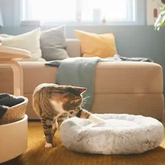 IKEA - Cama de mascota UTSÅDD, gris claro, S