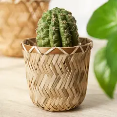 IKEA - Macetero KLYNNON, hecho a mano bambú, 9 cm