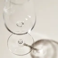 IKEA - Copa de vino blanco DYRGRIP, vidrio incoloro, 42 cl