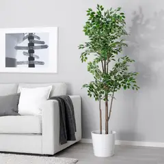 IKEA - Planta artificial FEJKA, interior/exterior ficus benjamina exótica, 21 cm