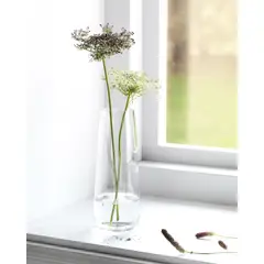 IKEA - Florero BERÄKNA, vidrio incoloro, 15 cm