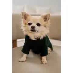 CIPITRIA - Sweater para Perro Talla XL Libra Verde