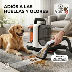 MOVI - Lava Alfombras y Tapiz Portátil Aspiradora Quita Manchas 11 kPa Potente
