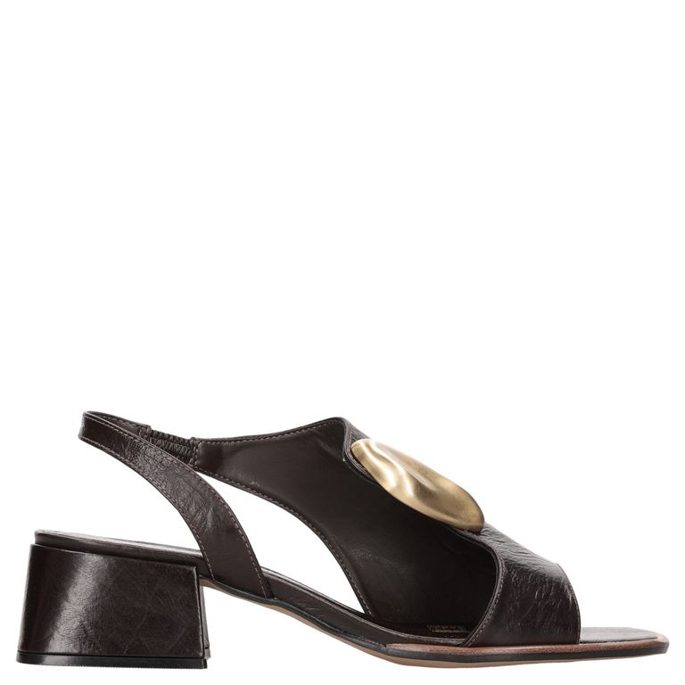 Sandalia Casual Mujer Marrón oscuro