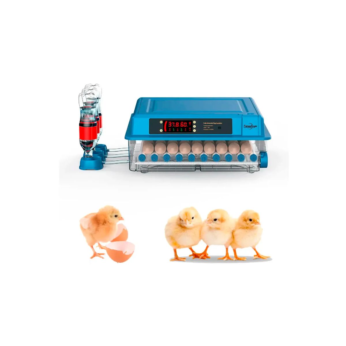 ZELVION - Incubadora 50w Digital Automática 36 Huevos