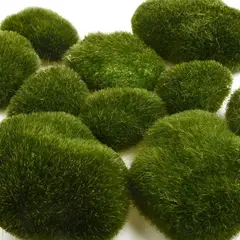 GENERICO - Rocas Artificiales De Musgo 4 Unidades Decorativas LABG