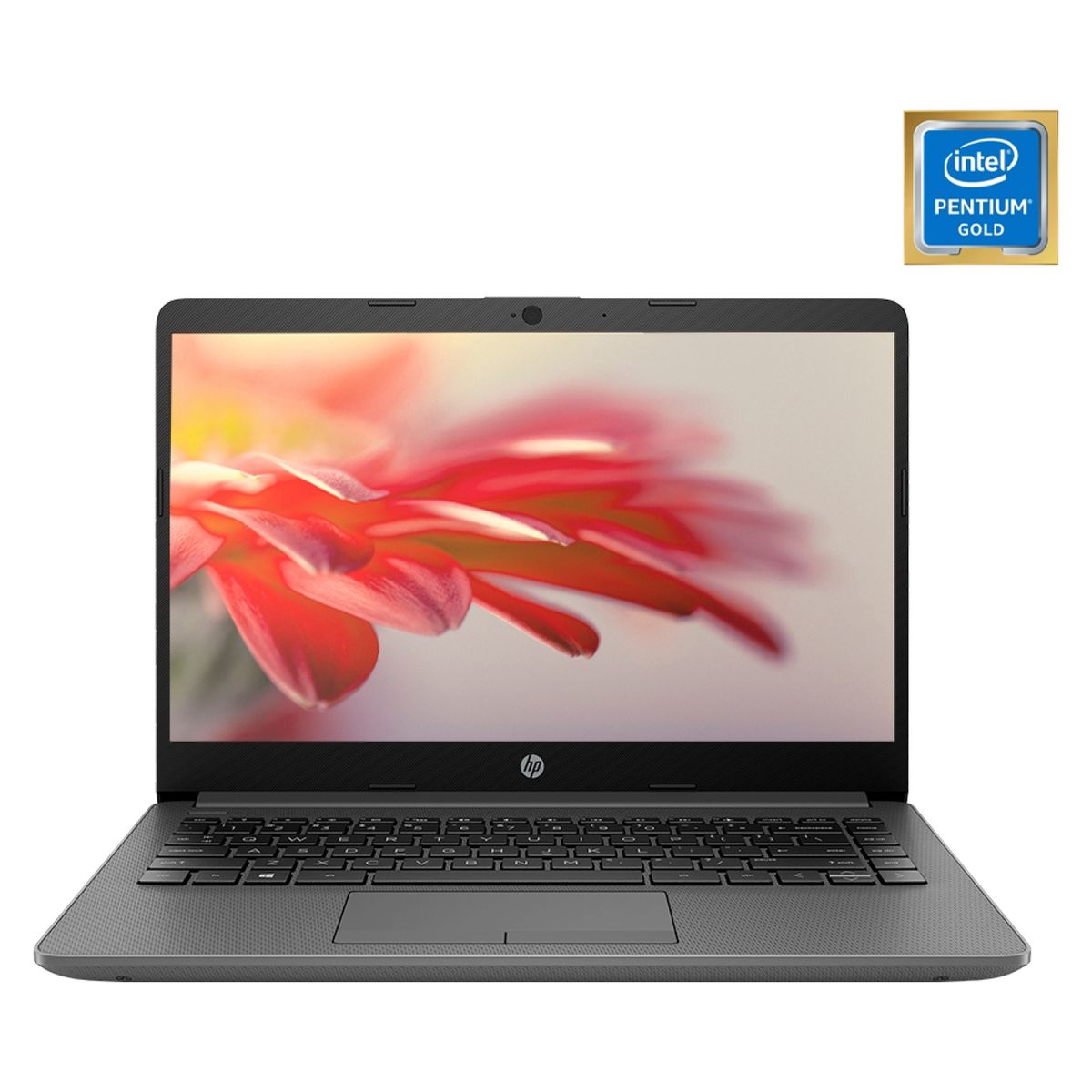 HP - Notebook HP 14-CF2097LA Intel Pentium Gold 6405U 8GB RAM 256GB SSD PCIe 14" HD