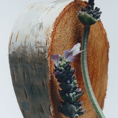 Imagen 2 del producto Cologne Silver Birch and Lavender 100 Ml