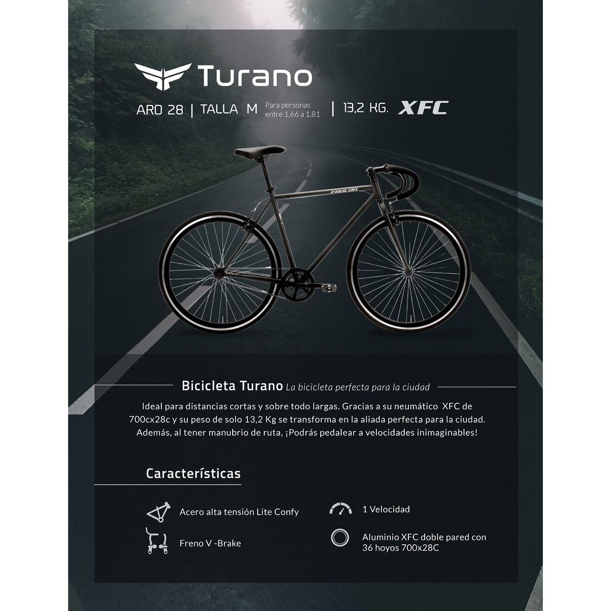 FAUCON - Bicicleta Faucon de Ruta Turano Aro 28