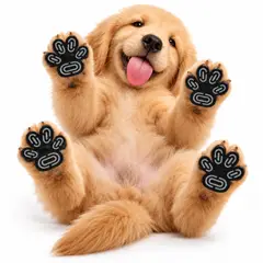 IMBODEX - Protectores protector patitas Almohadillas De Silicona Para Perro - Negro - XXL